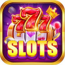 5588bet2